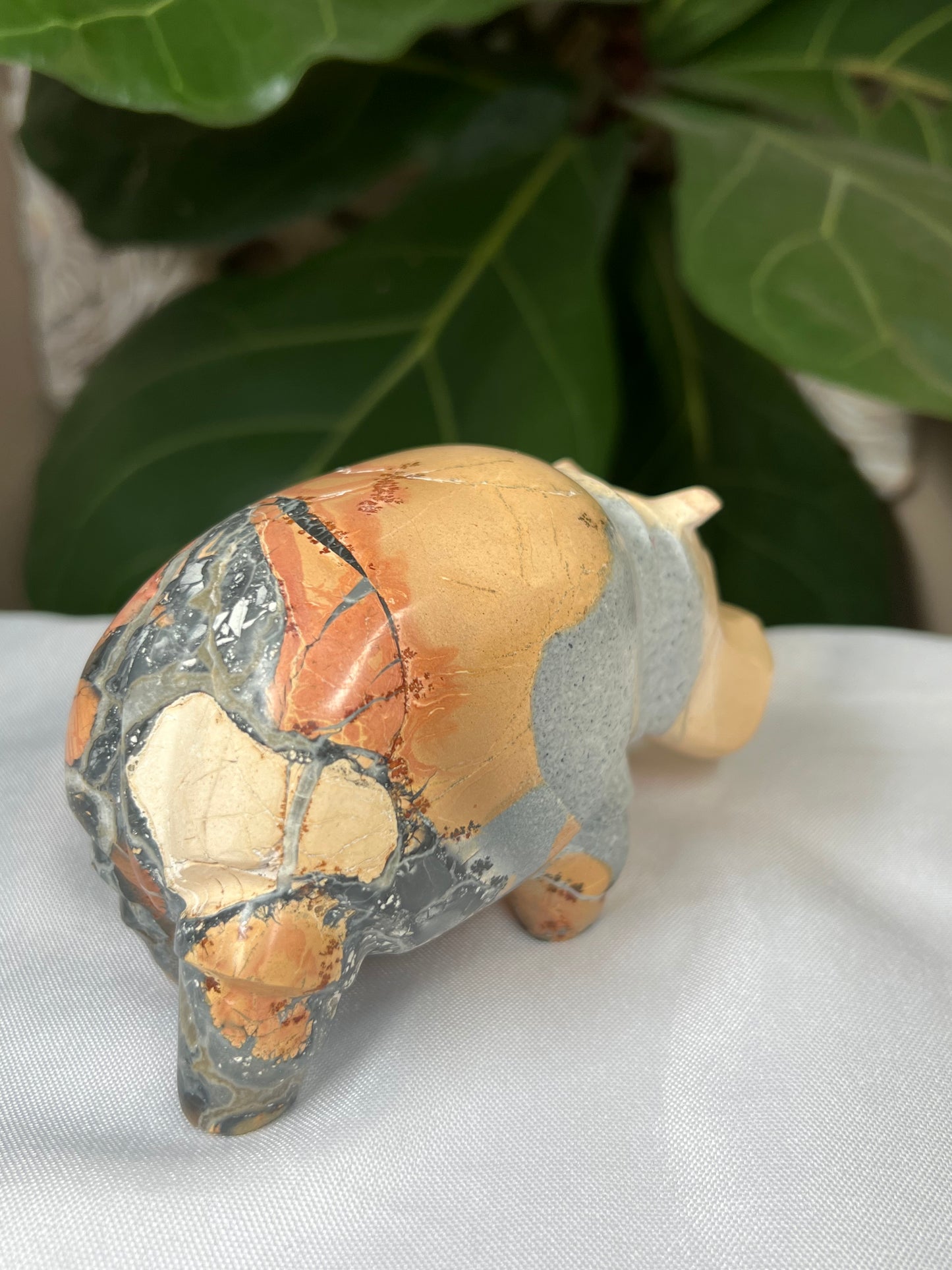 Maligano Jasper Hippo