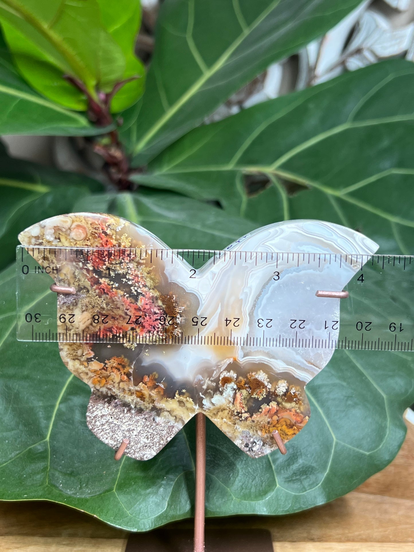 Scenic Moss Agate Butterfly