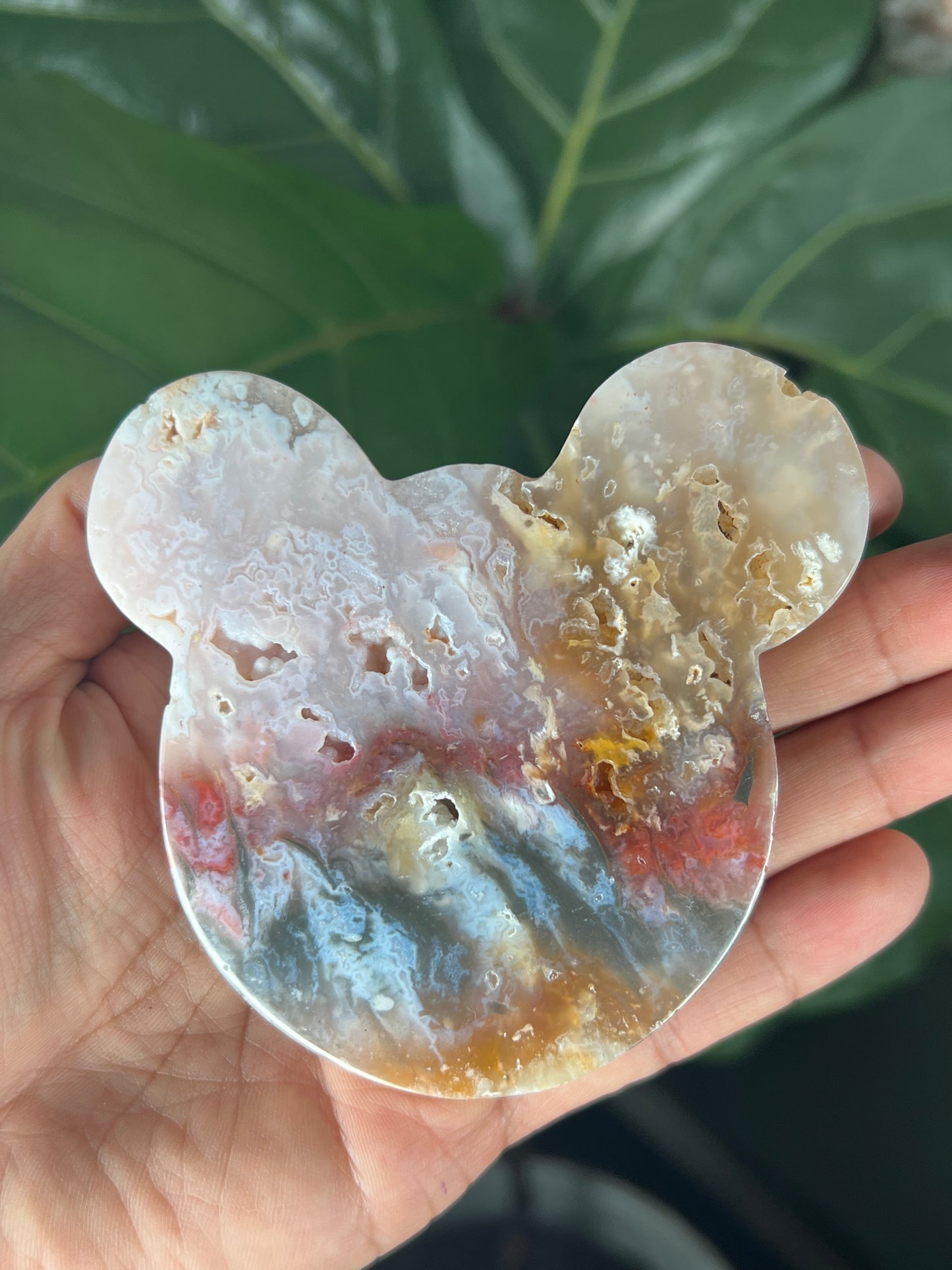 Rainbow Plume Agate Bear