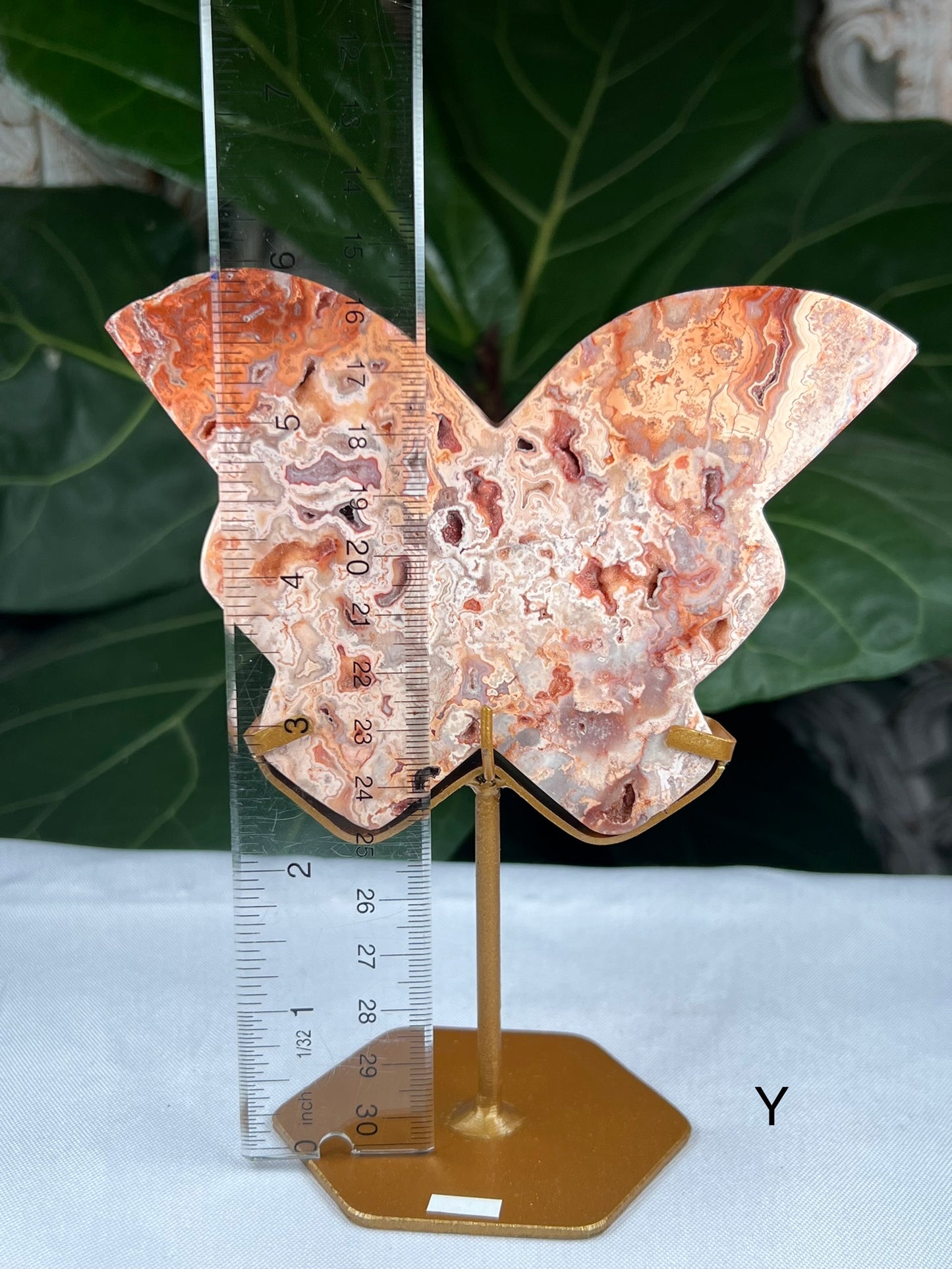 Crazy Lace Agate Butterfly