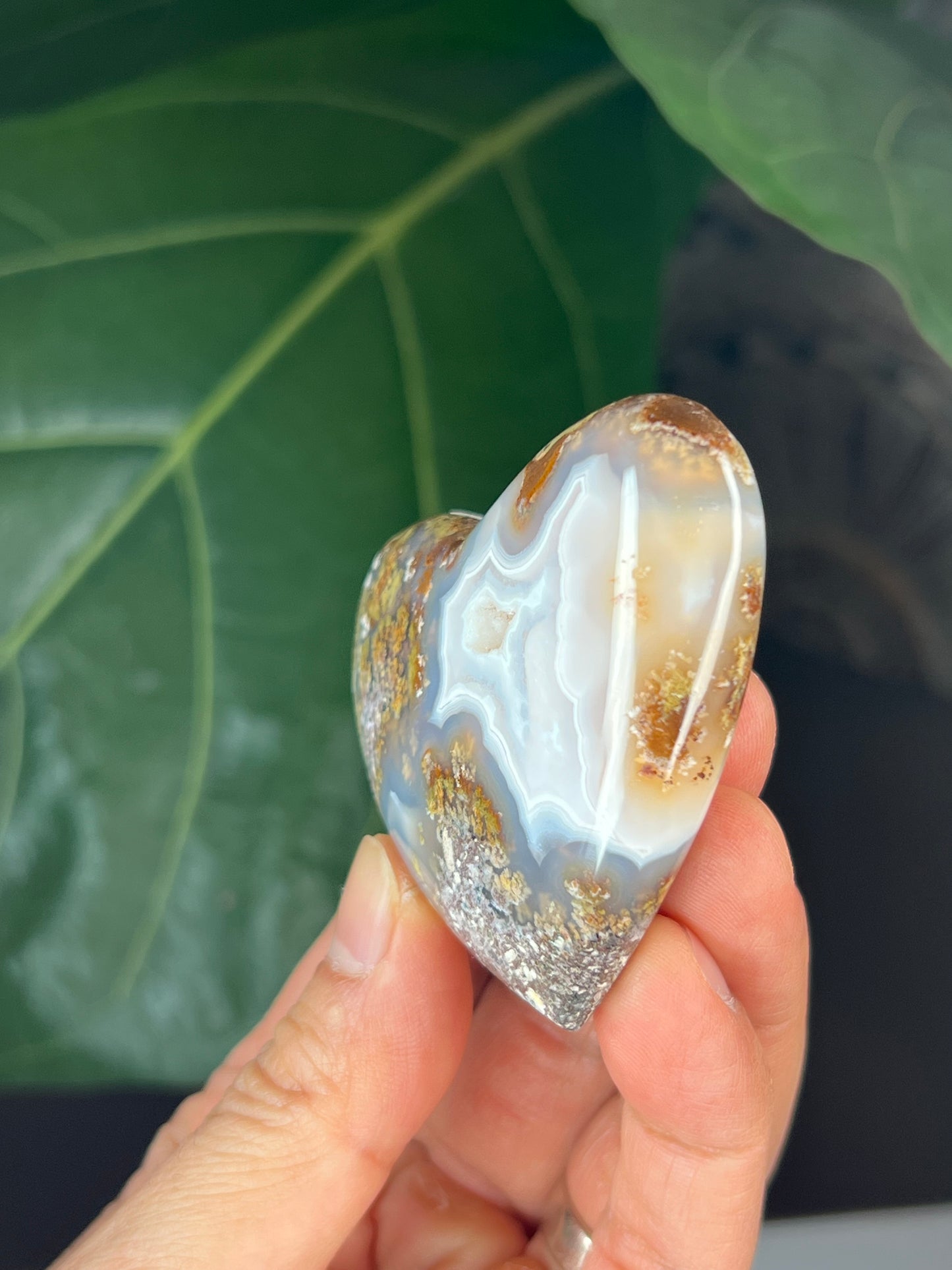 Scenic Moss Agate Heart