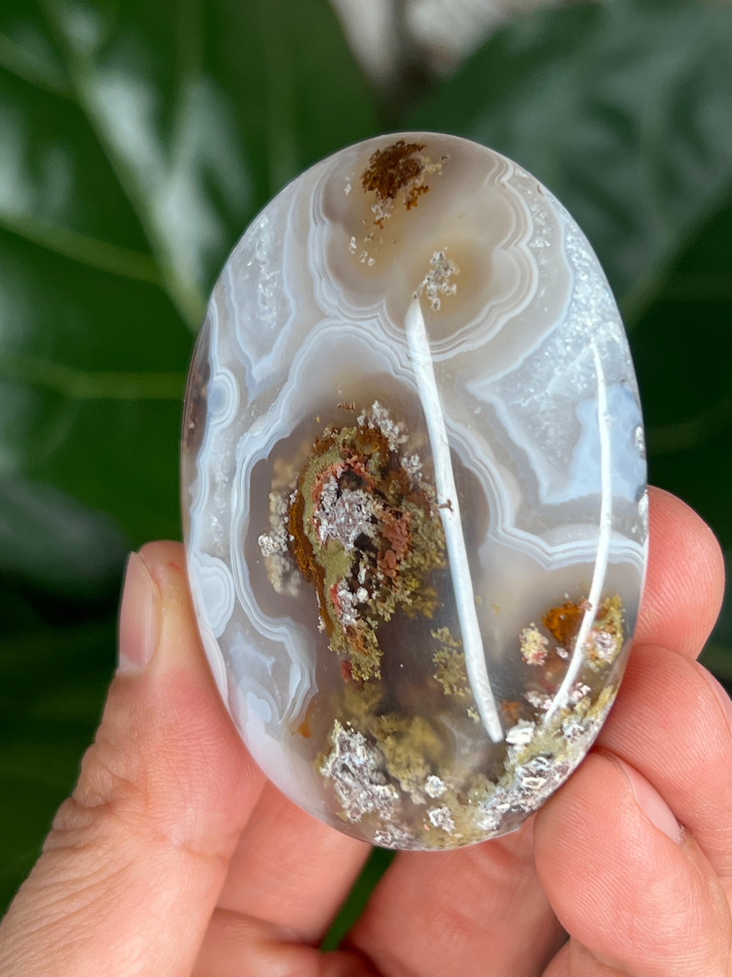 Scenic Moss Agate Palmstone