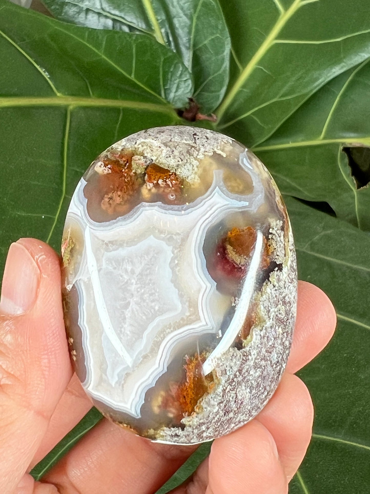 Scenic Moss Agate Palm Stone