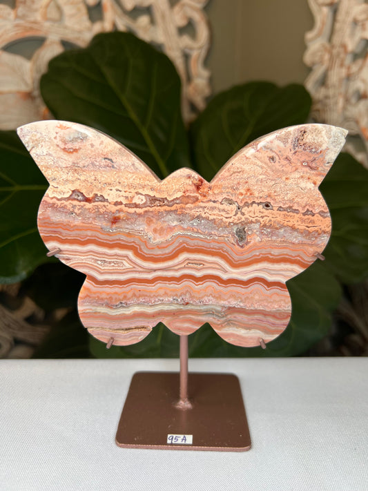 Crazy Lace Agate Butterfly