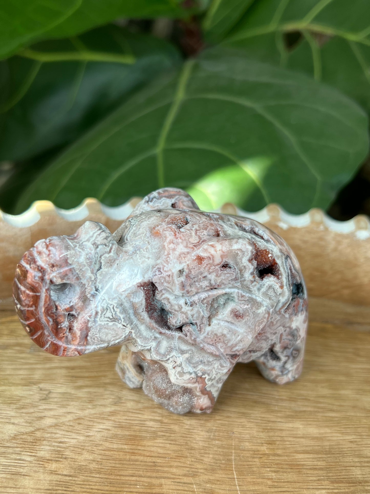 Crazy Lace Agate Elephant