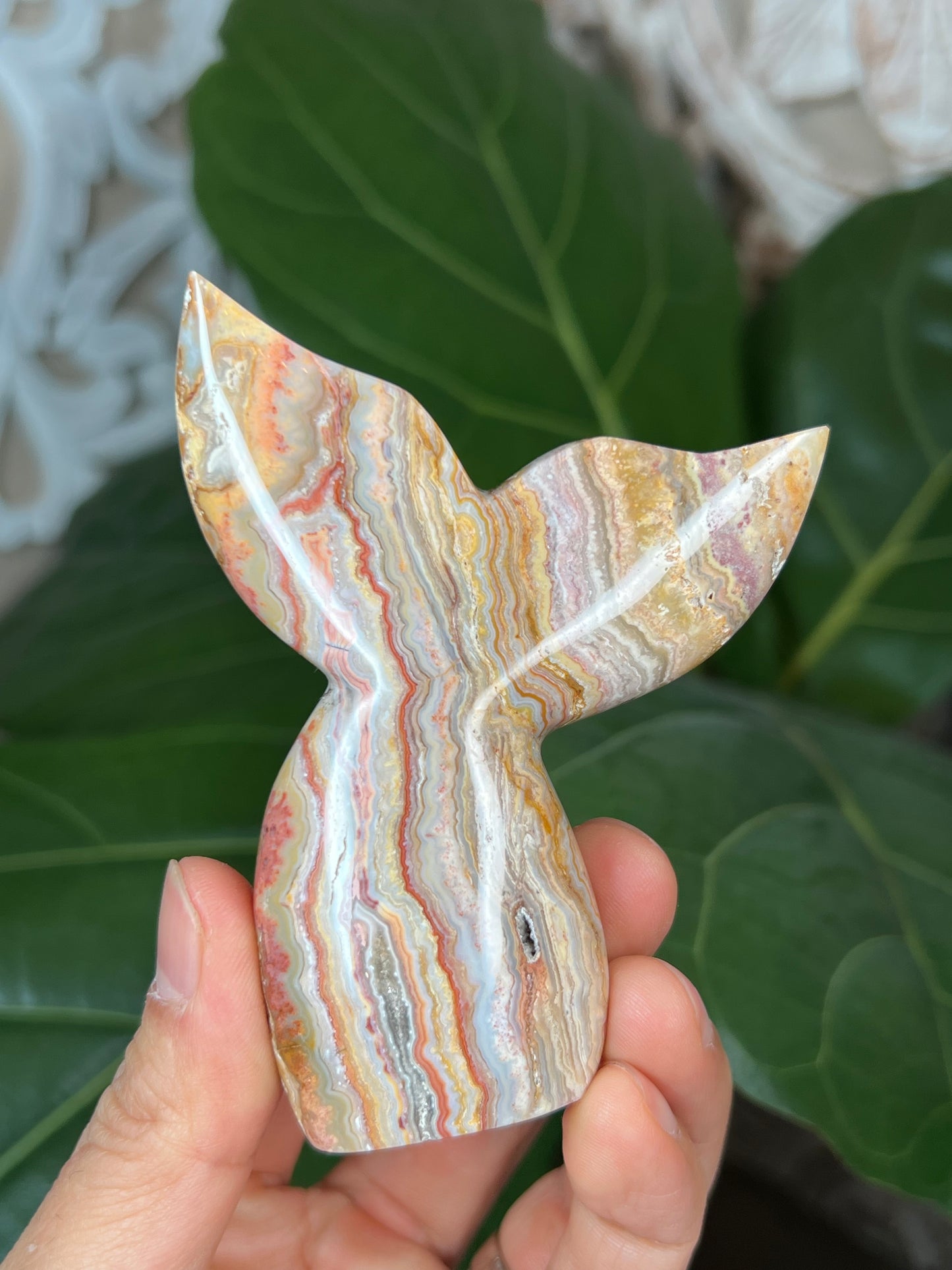 Crazy Lace Agate Mermaid tail