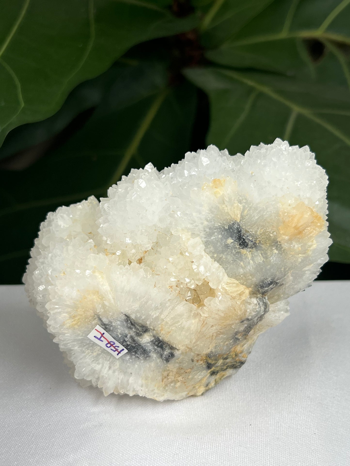 Sphalerite Druzy Freeform