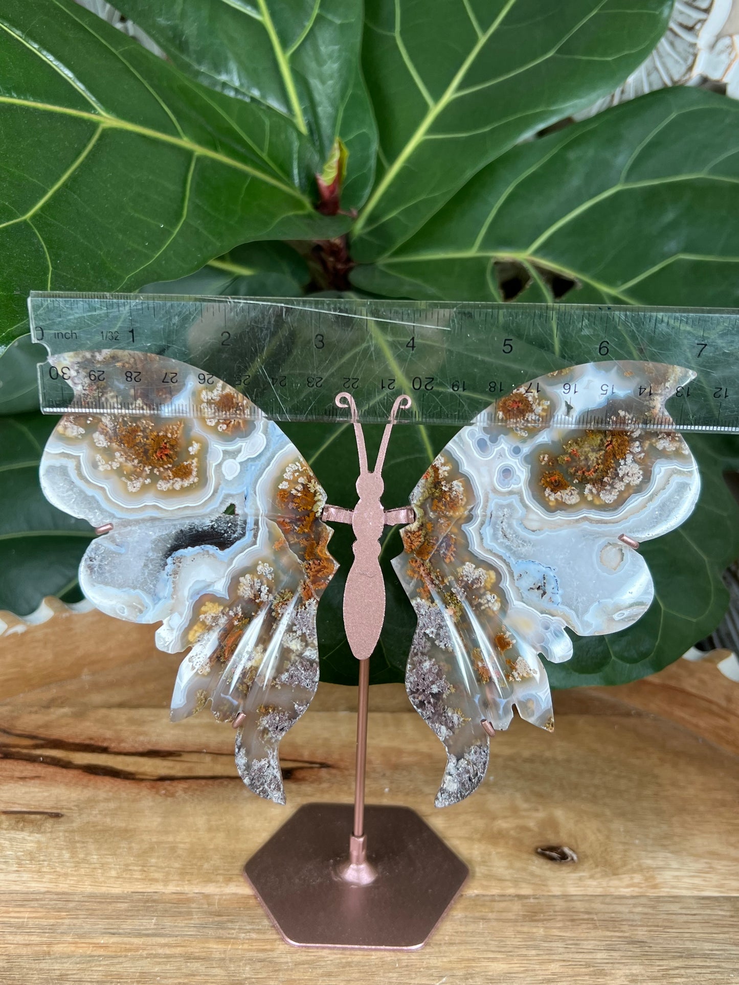 Scenic moss agate Wings