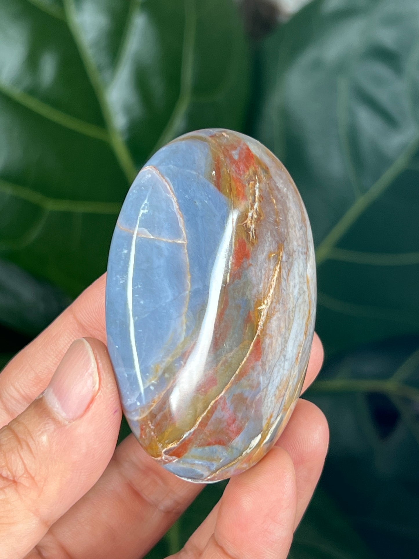 River Jasper Palmstone