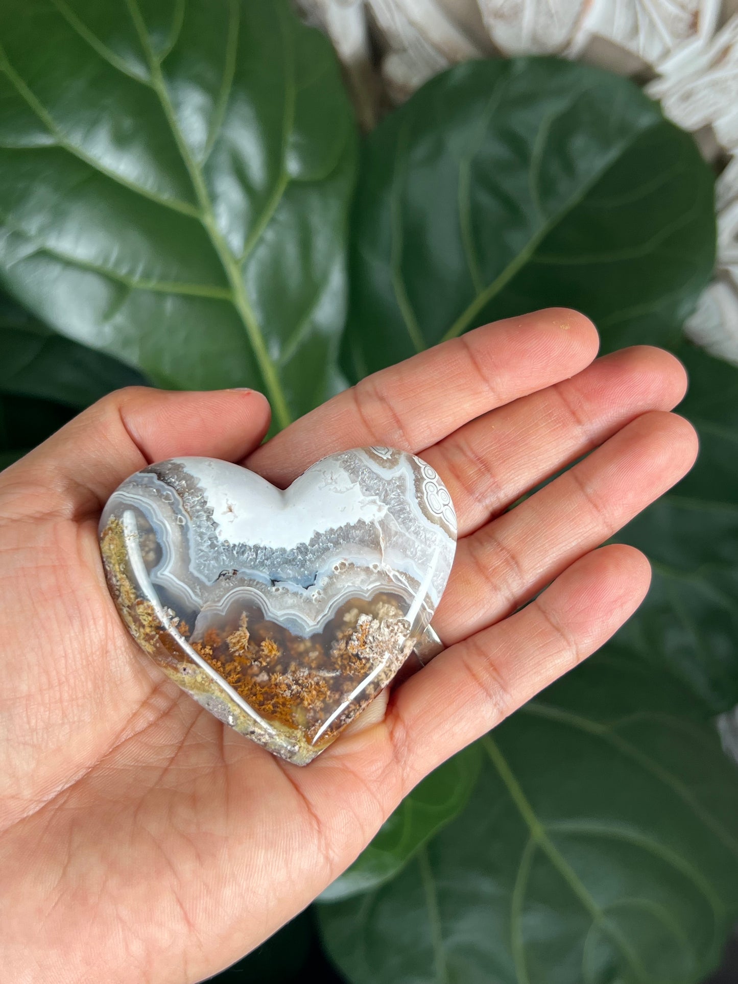 Scenic Moss Agate Heart