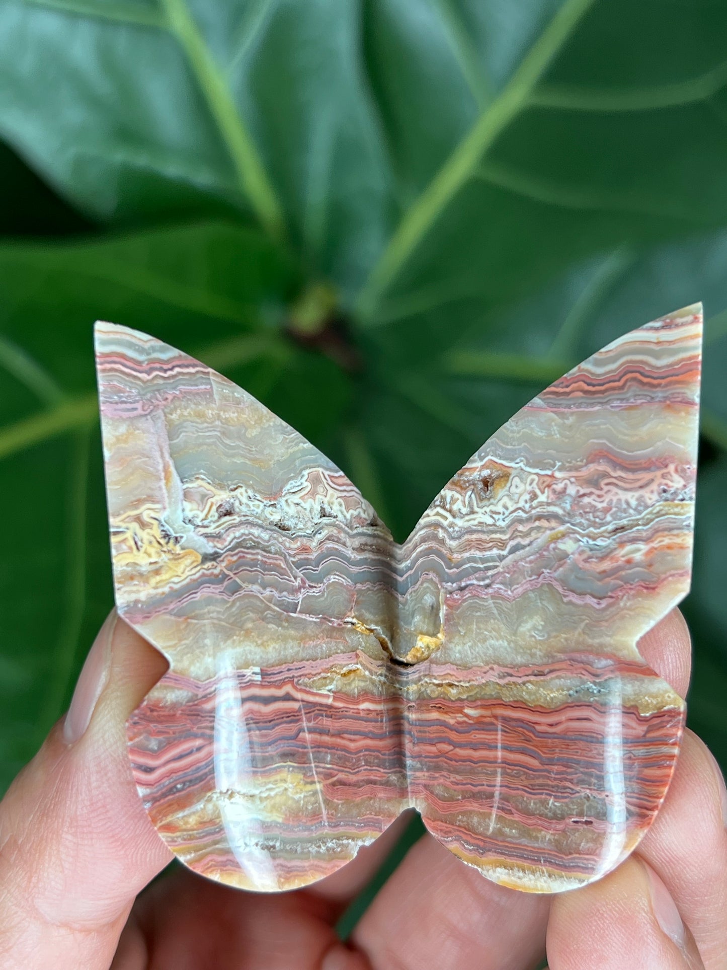 3D Butterfly Crazy Lace Agate