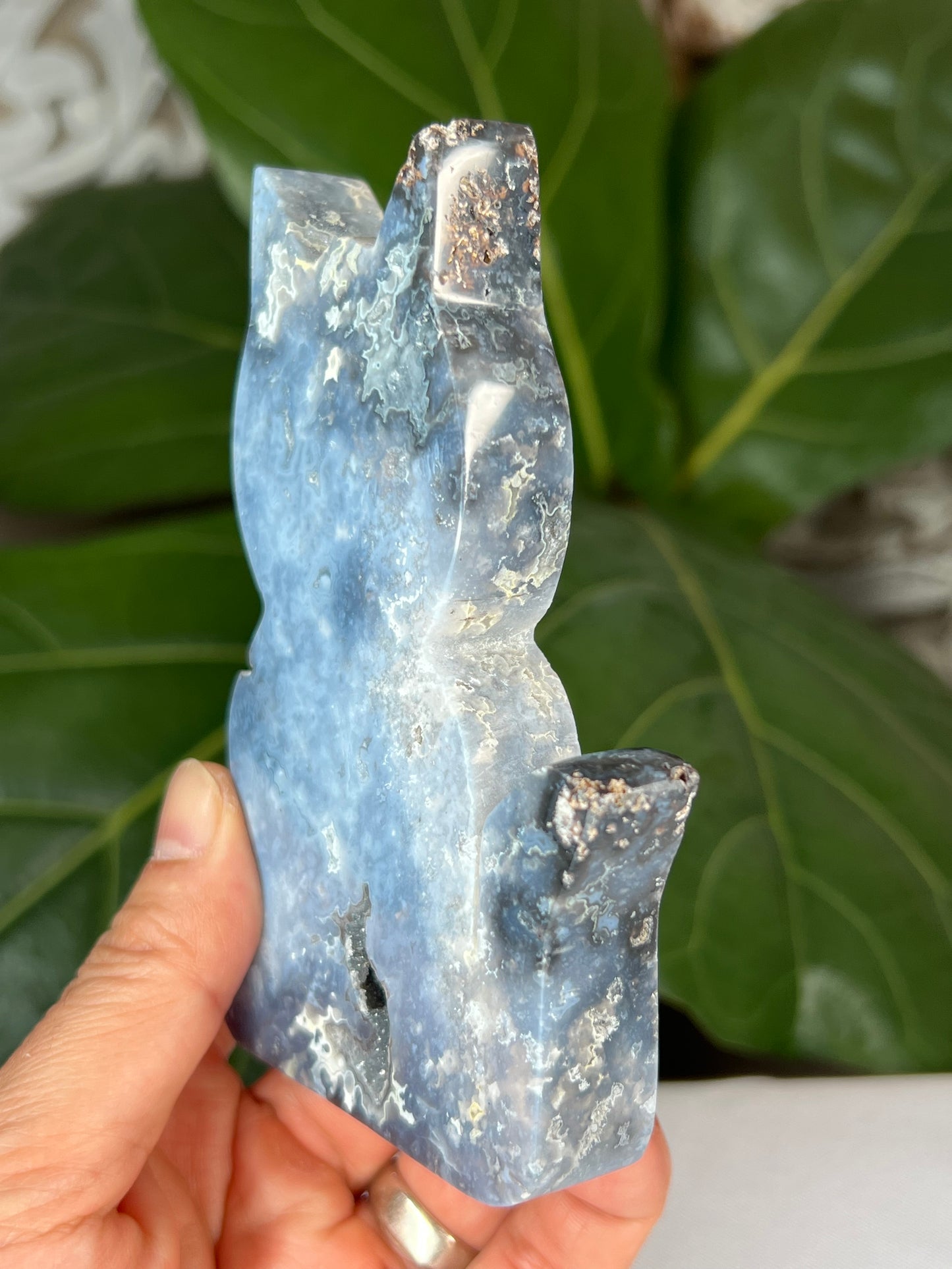 Blue Plume Agate Cat