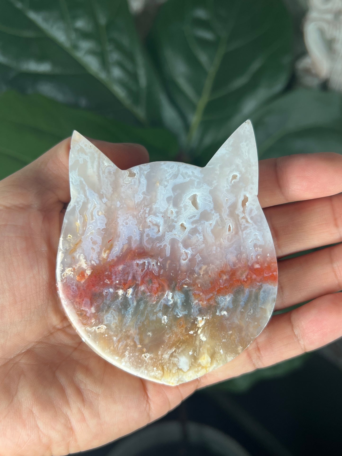 Rainbow Plume Agate Cat