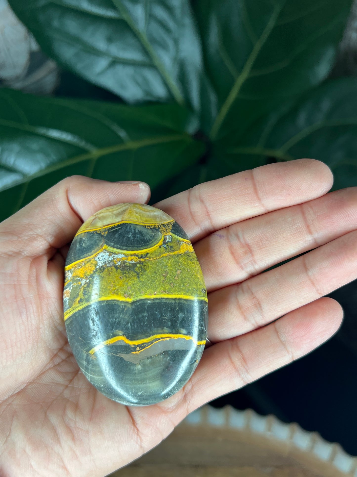 Bumblebee Jasper Palmstone