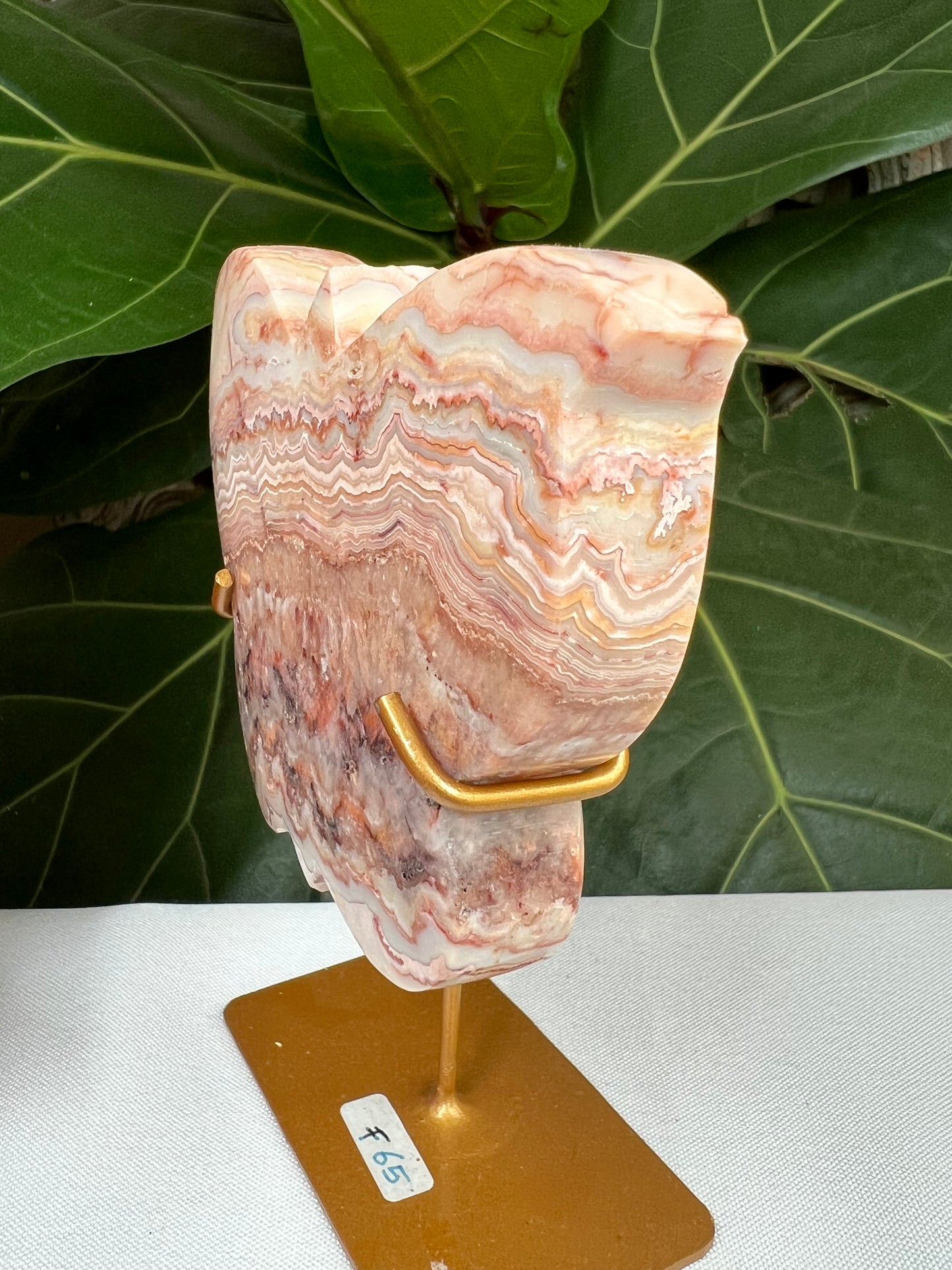 Crazy Lace Agate Butterfly