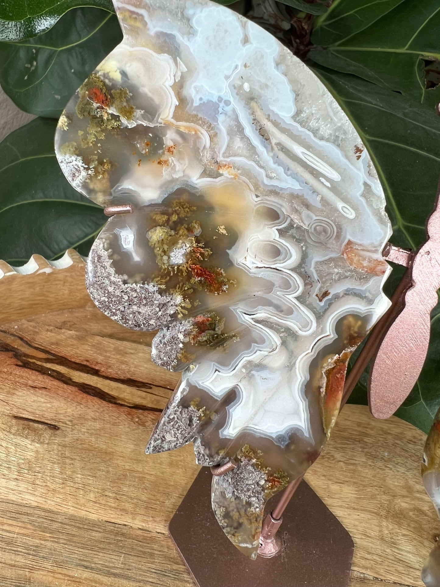 Scenic moss agate wings