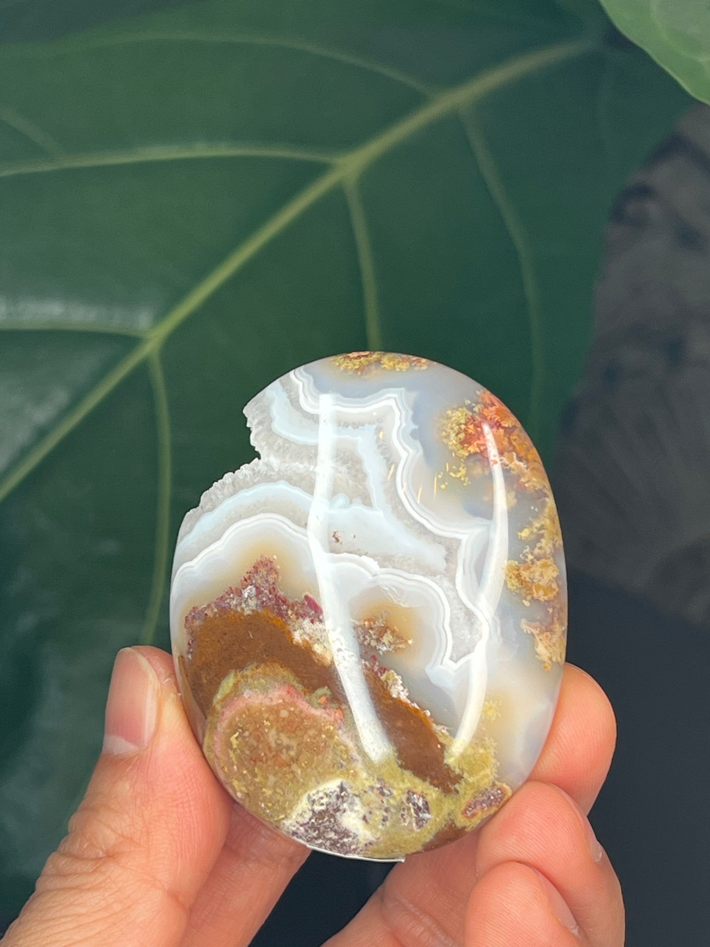 Scenic Moss Agate Palmstone