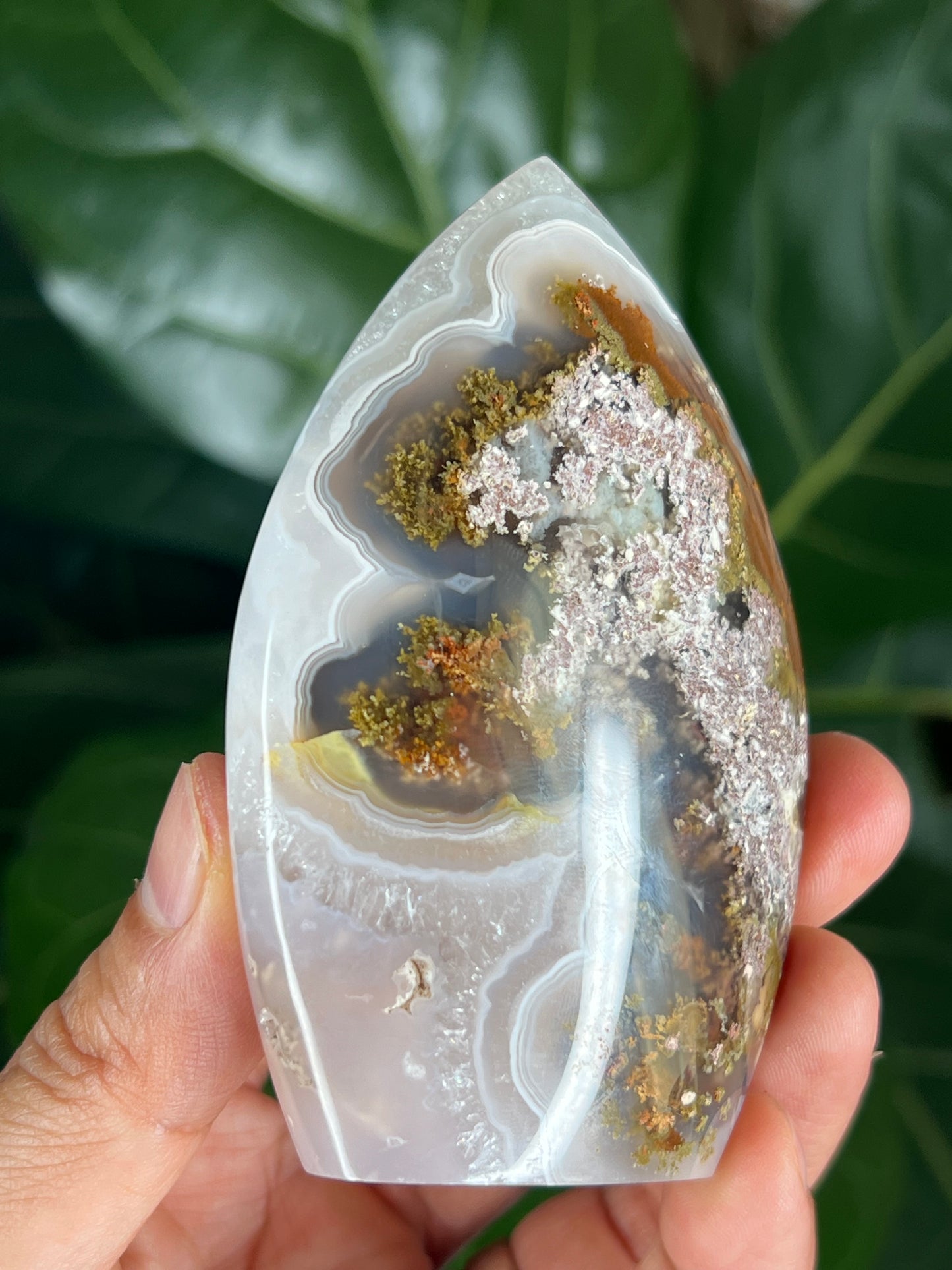 Scenic Moss Agate Flame