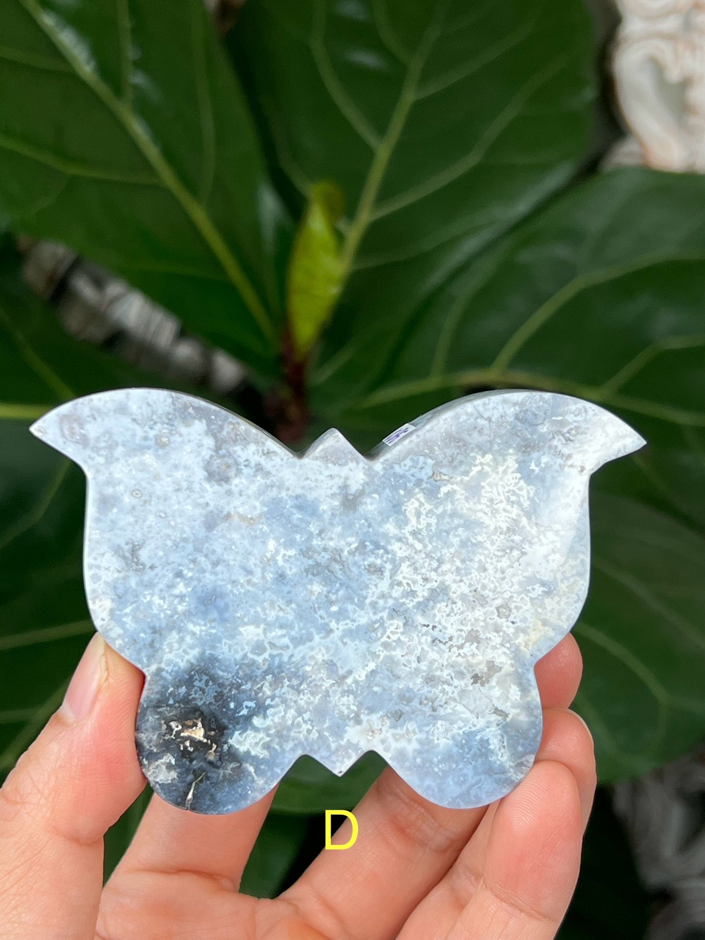 Blue Plume Agate Butterfly