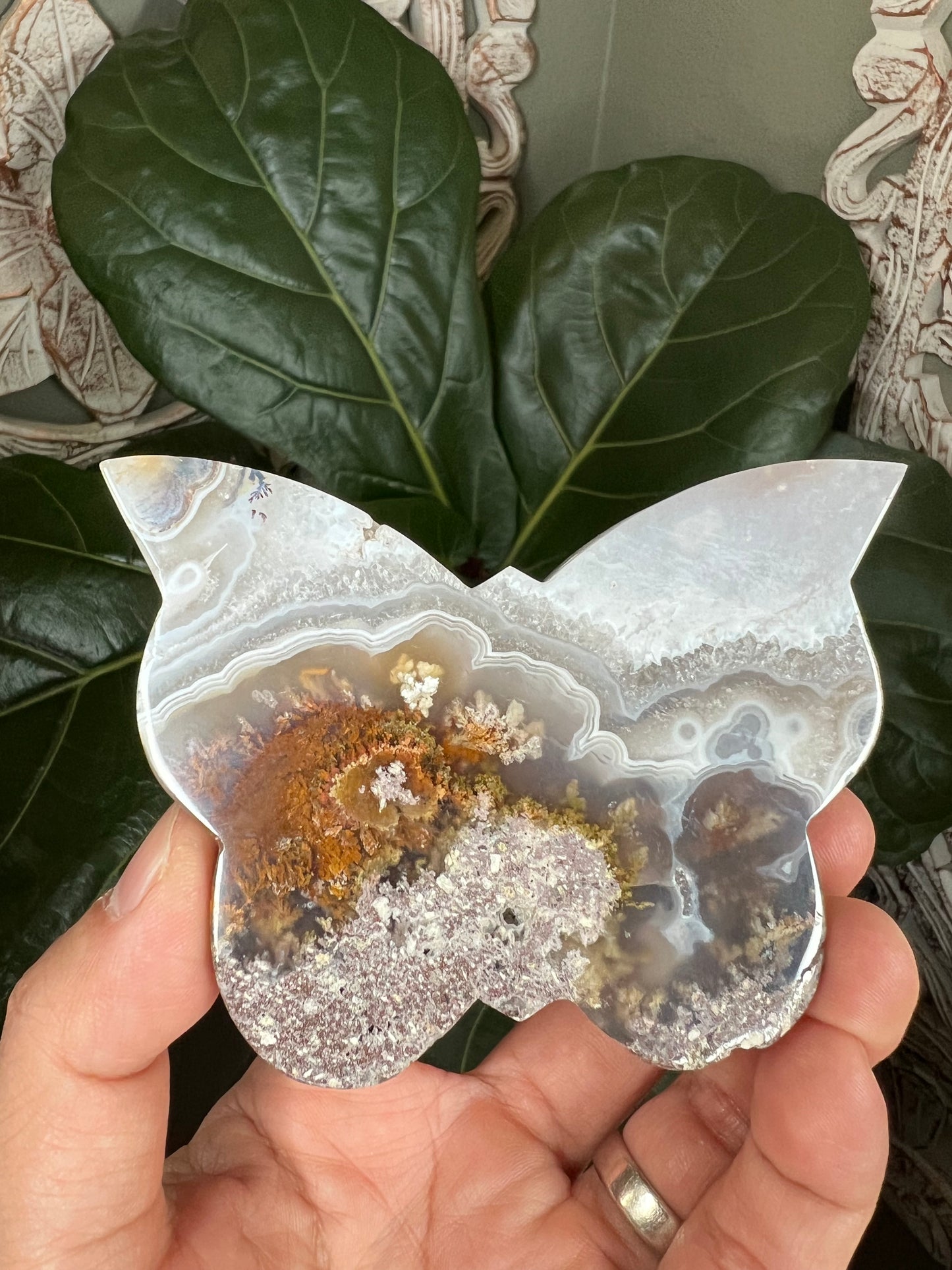 Scenic Moss Agate Butterfly