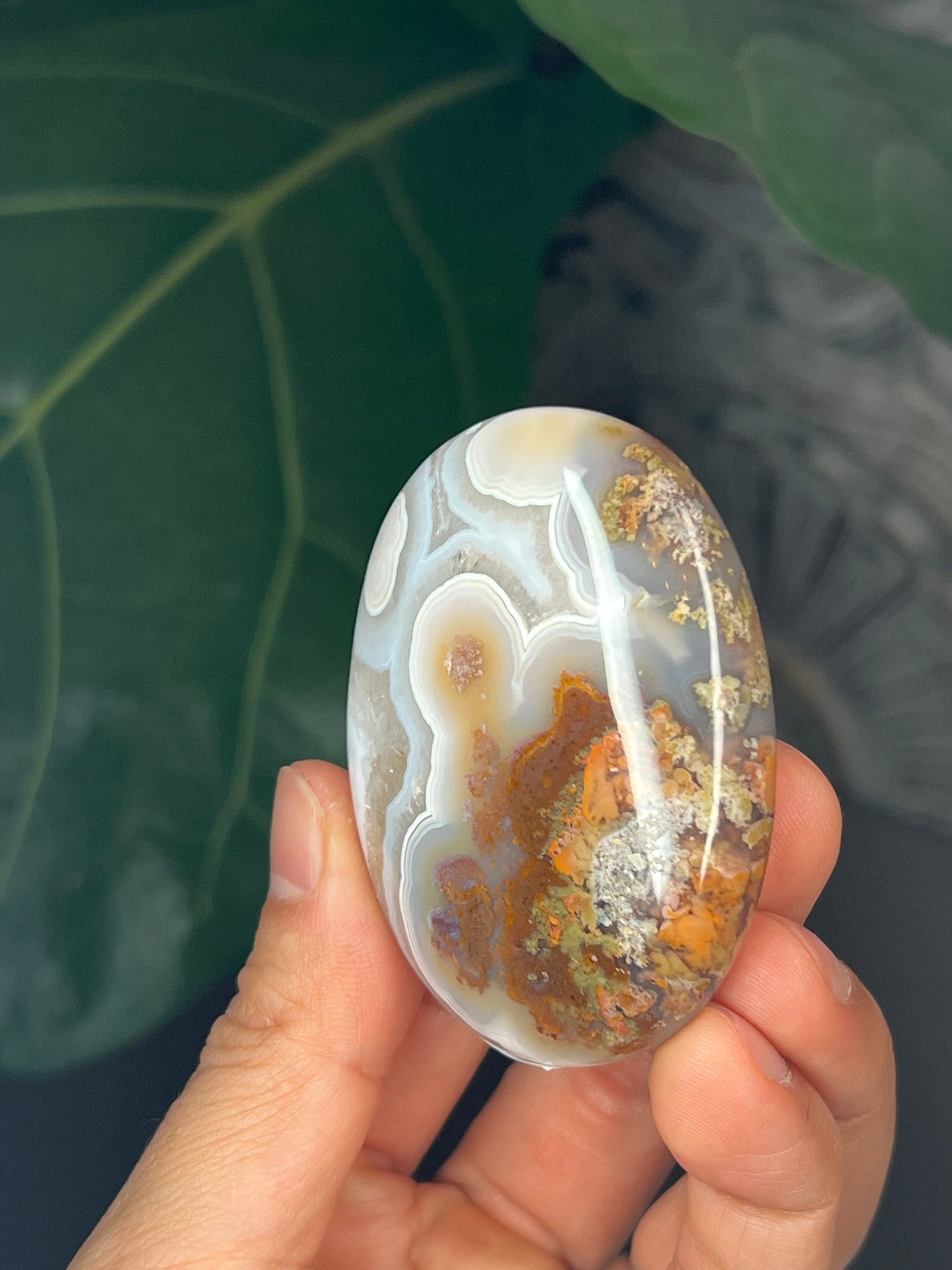 Scenic Moss Agate Palmstone