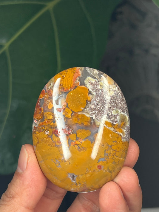 Scenic Moss Agate Palmstone