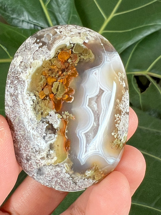 Scenic Moss Agate Palm Stone