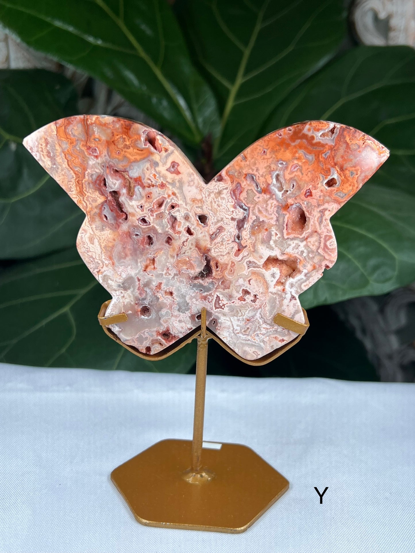 Crazy Lace Agate Butterfly