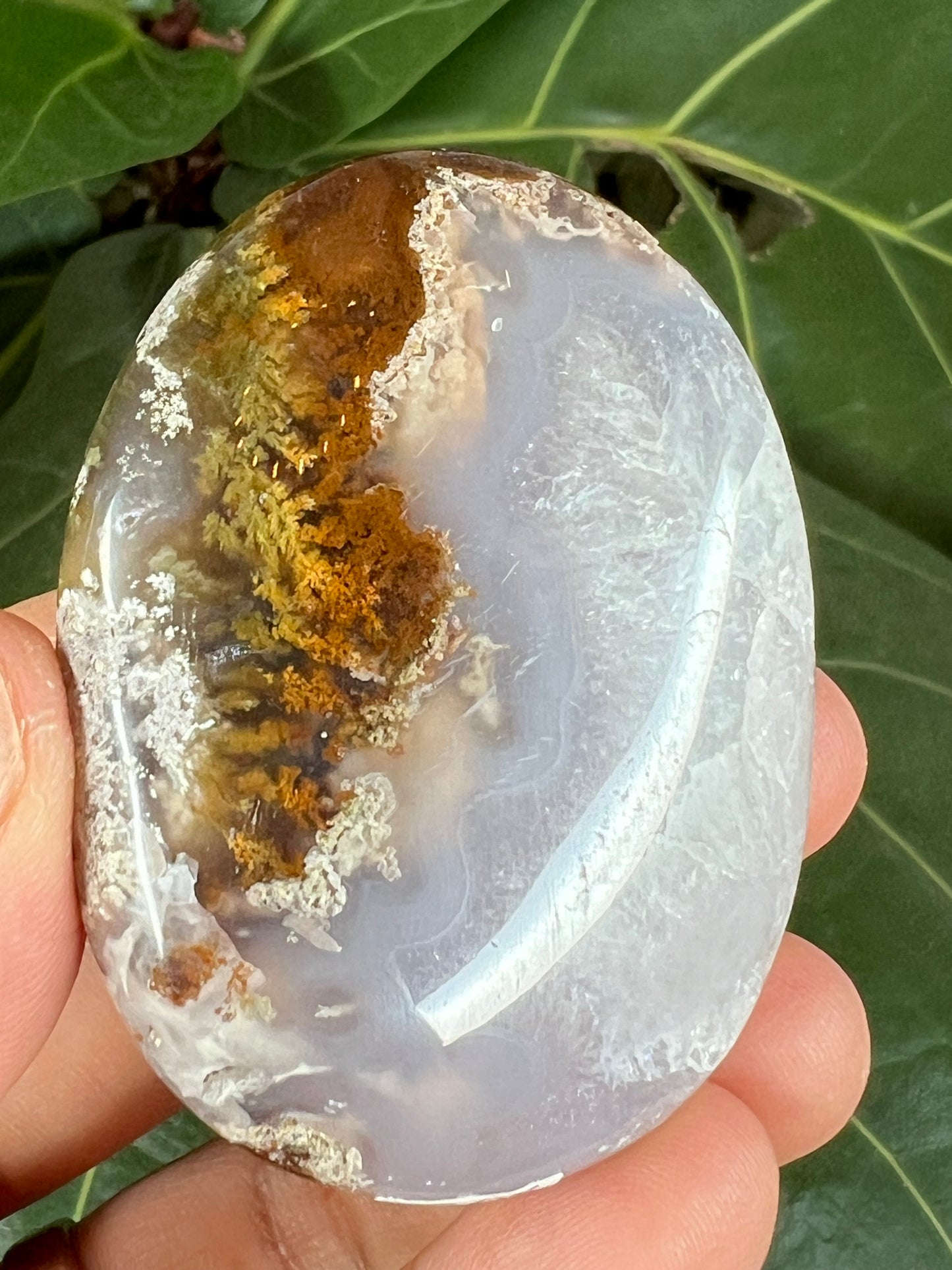 Scenic Moss Agate Palm Stone