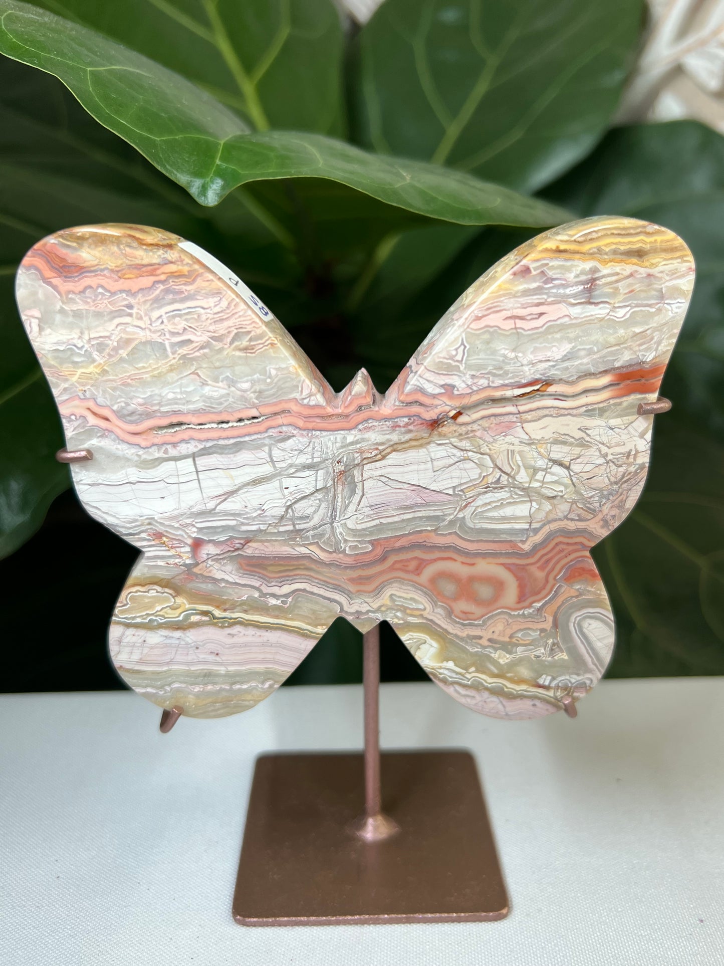 Crazy Lace Agate Butterfly