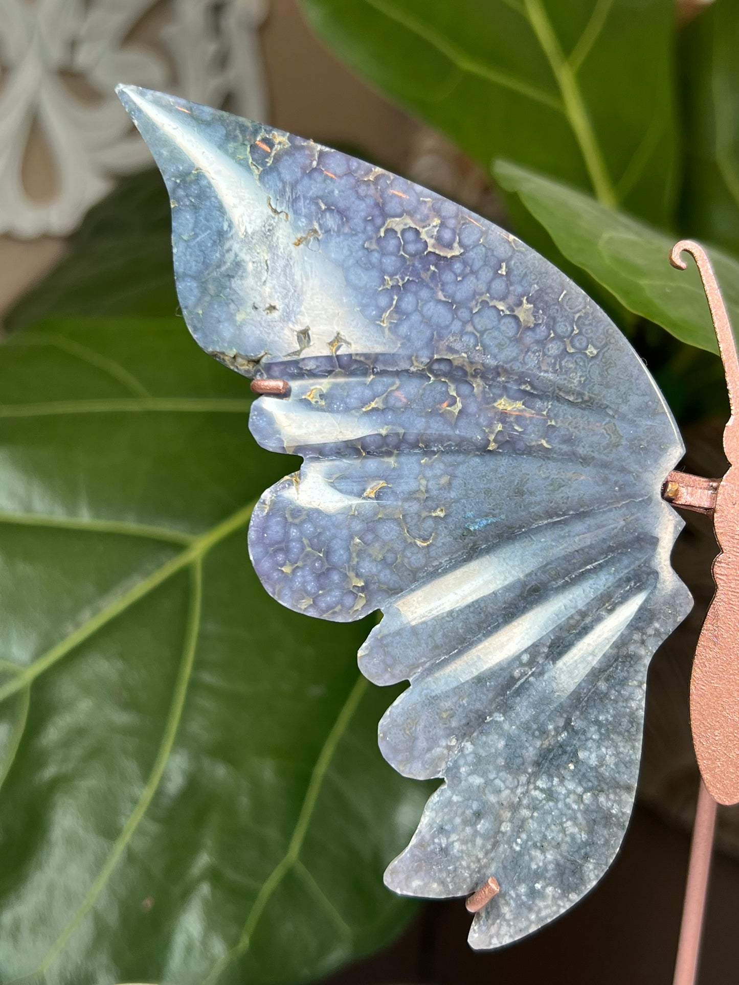 Grape Agate Wings