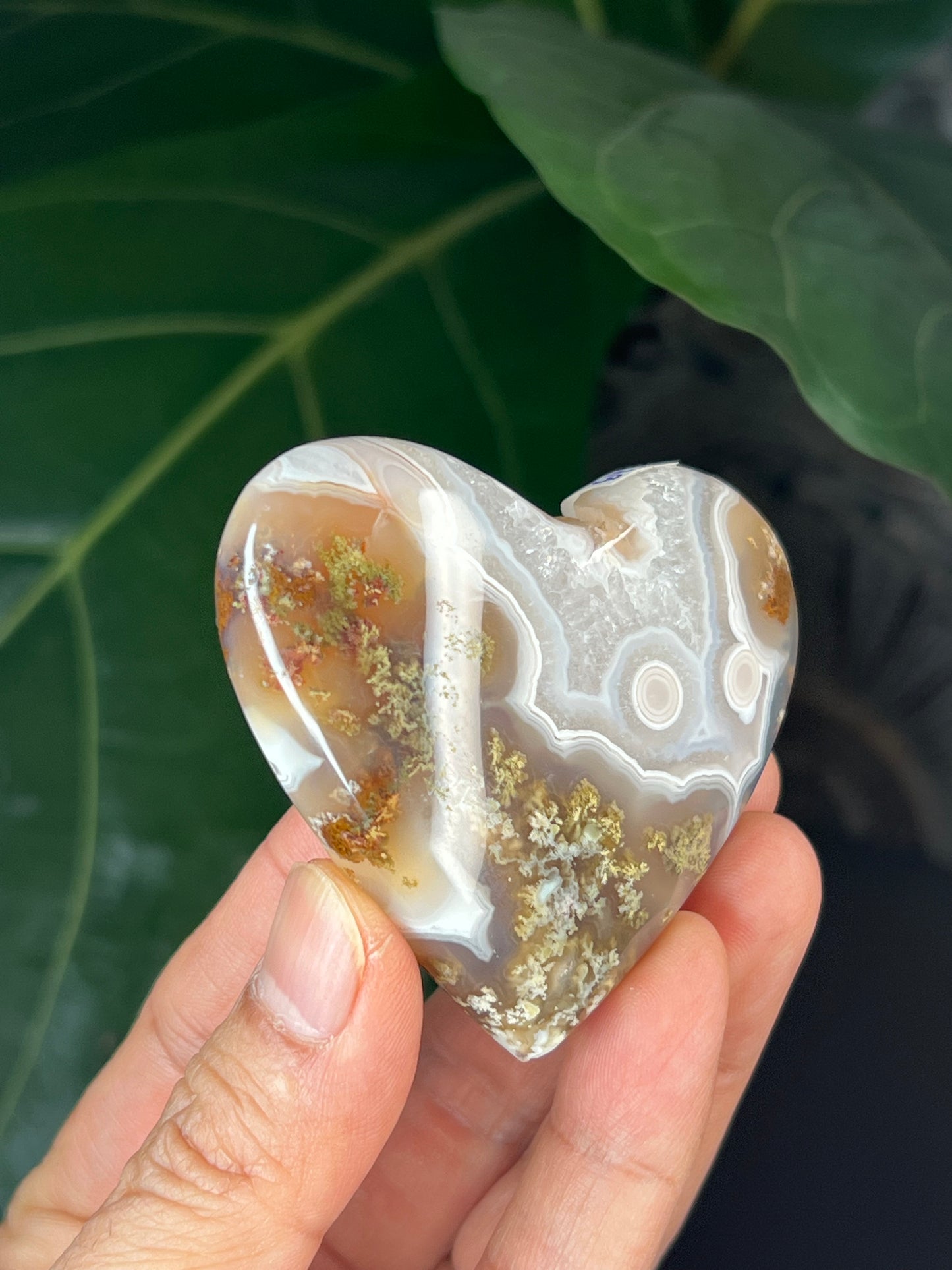 Scenic Moss Agate Heart