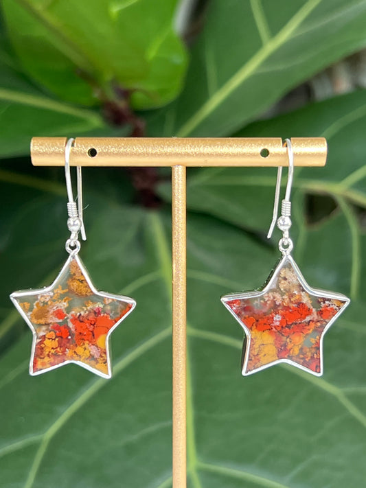 Scenic Moss Agate Star Earrings