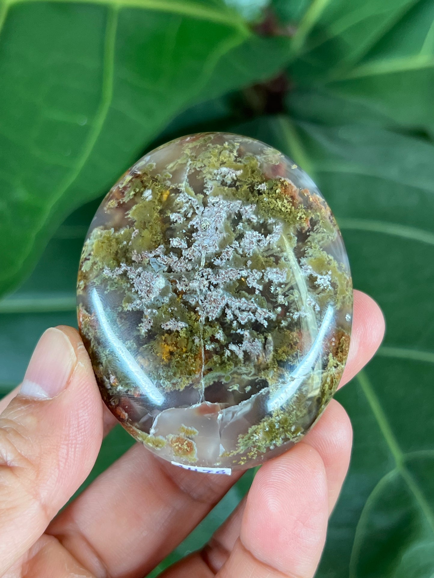 Scenic Moss Agate Palm Stone