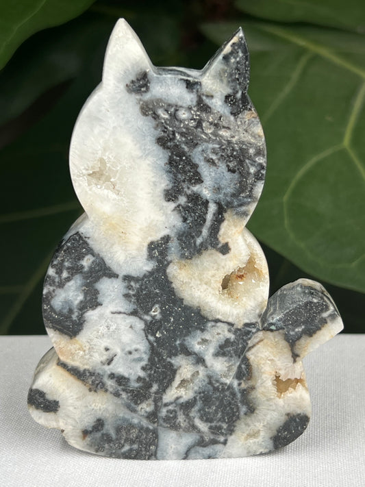 Sphalerite Cat