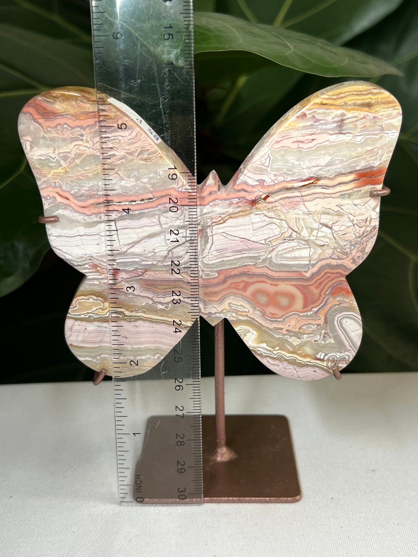 Crazy Lace Agate Butterfly