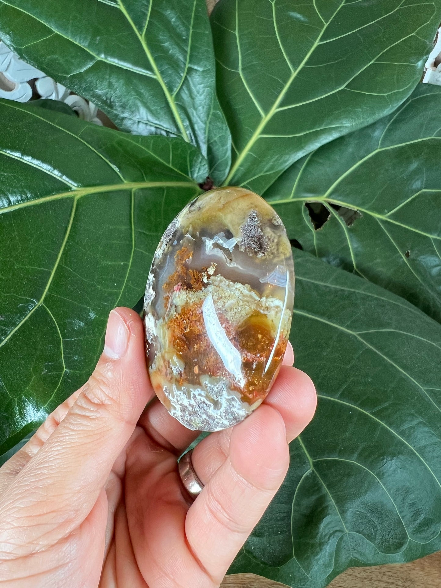 Scenic Moss  Agate Palm Stone