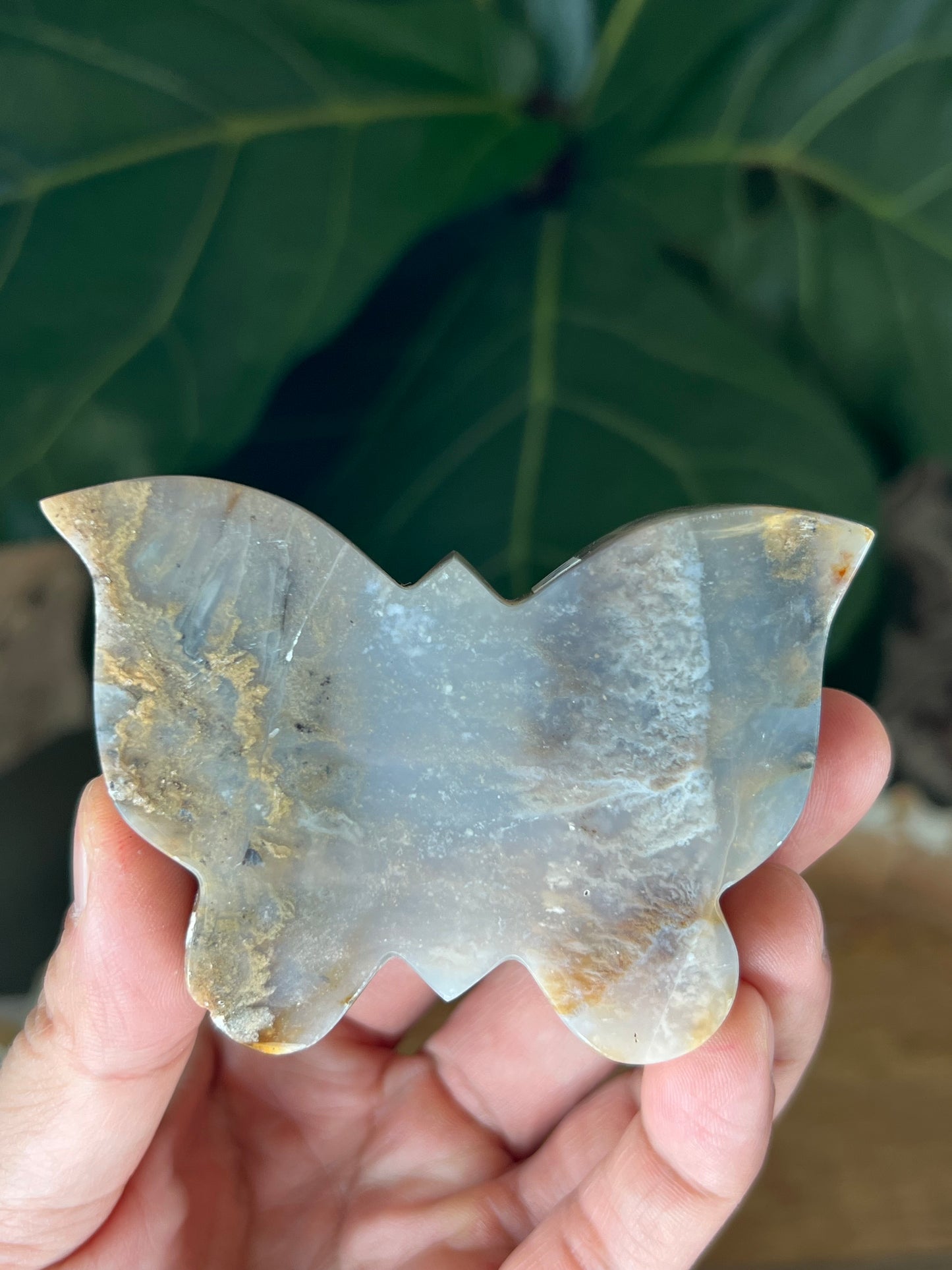 Dendritic Tiger Agate Butterfly