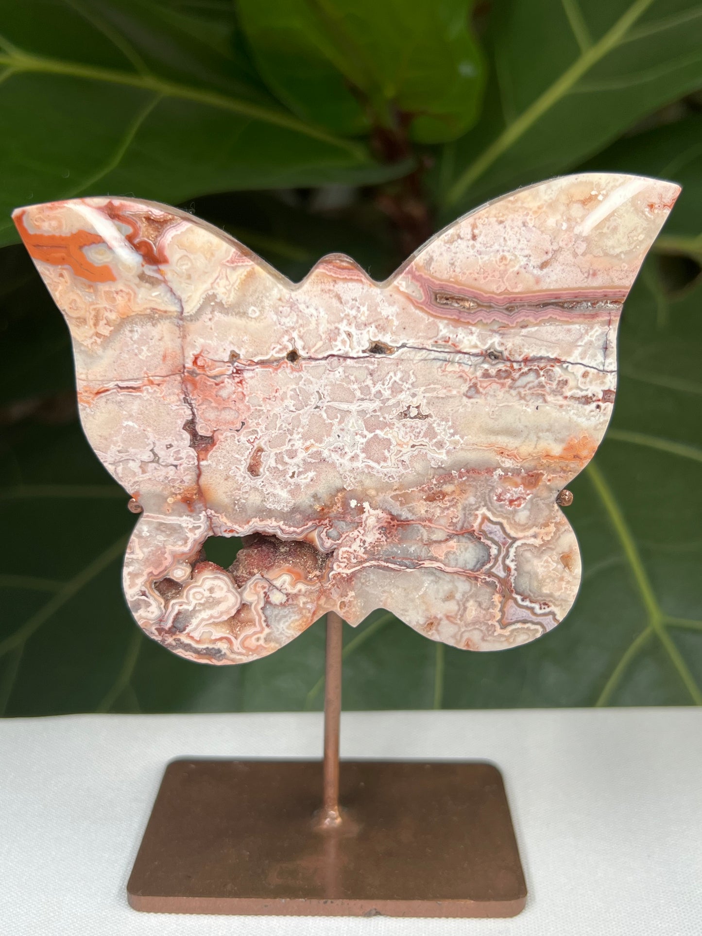 Crazy Lace Agate Butterfly