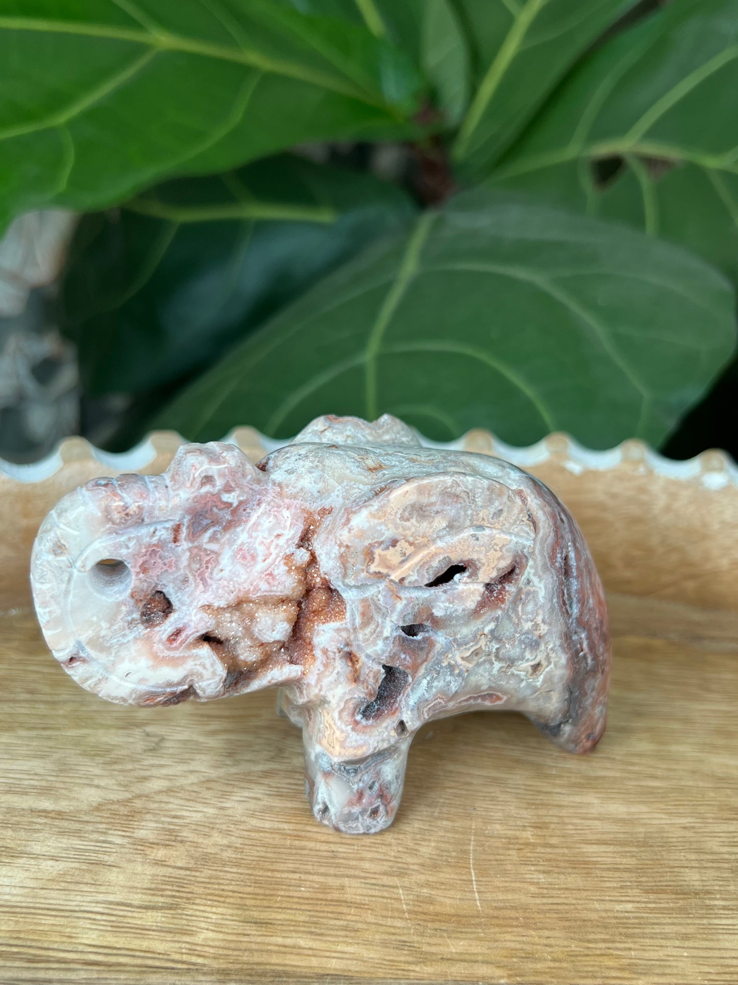 Crazy Lace Agate Elephant