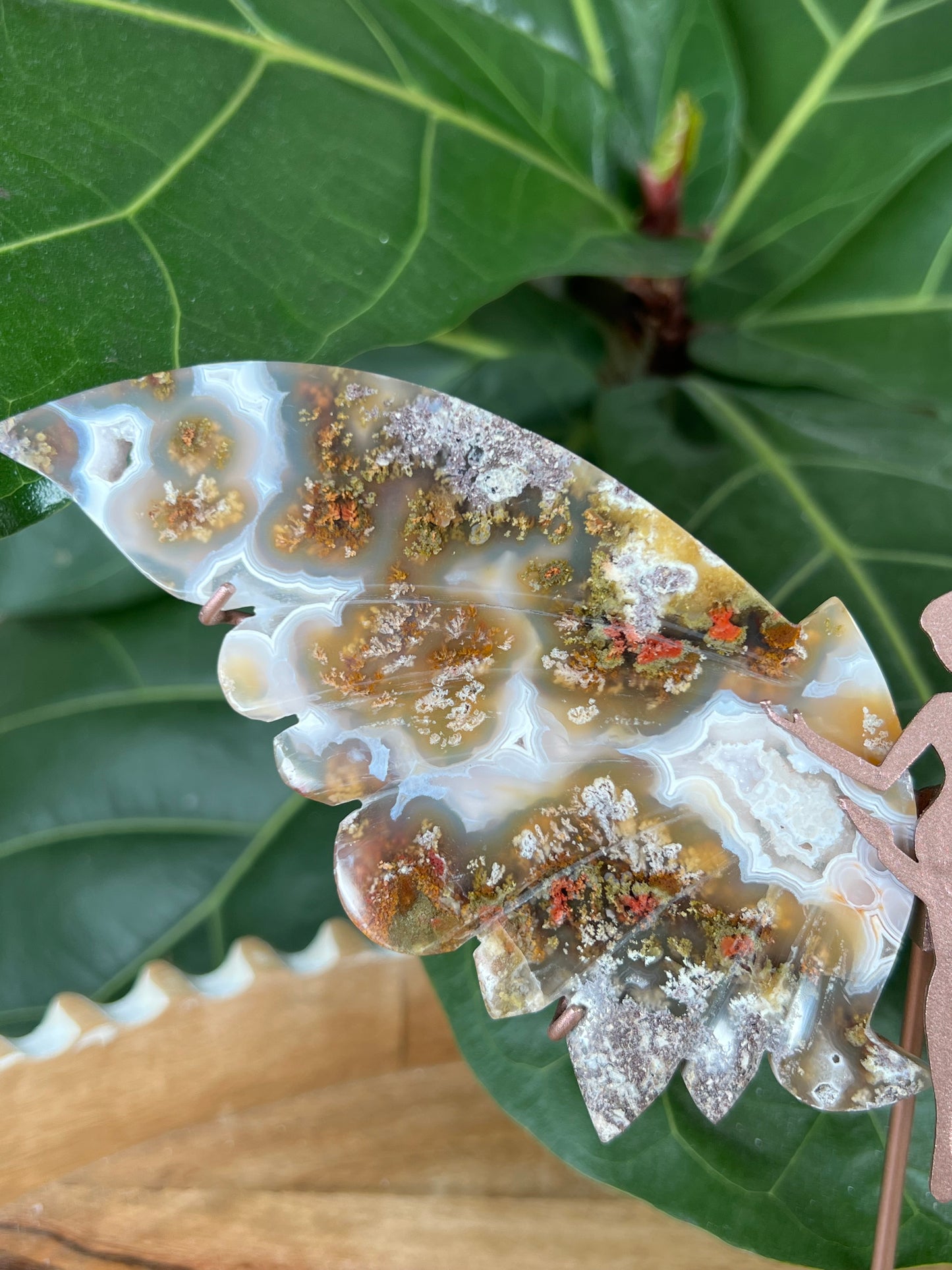 Scenic moss agate wings