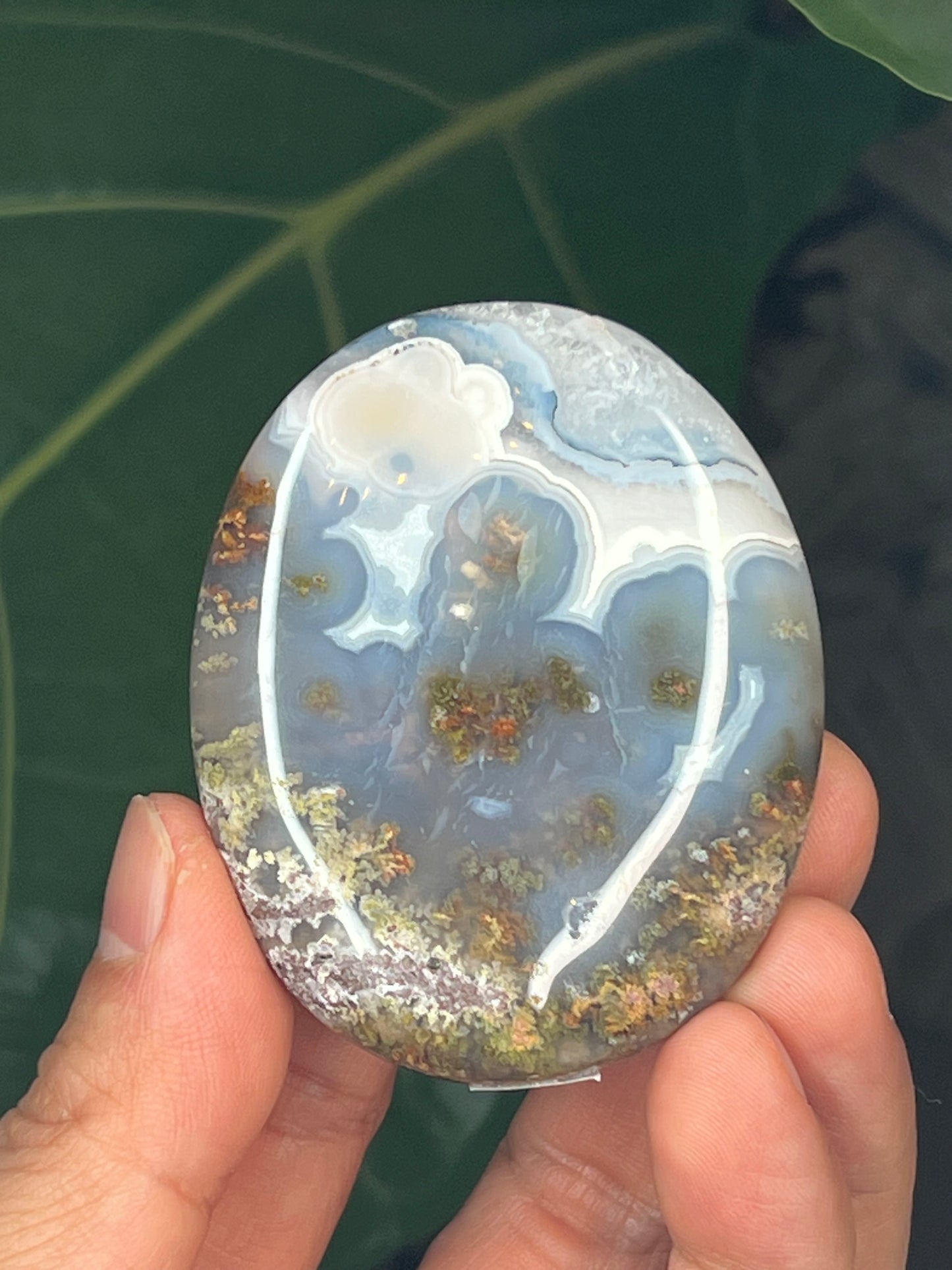 Scenic Moss Agate Palmstone