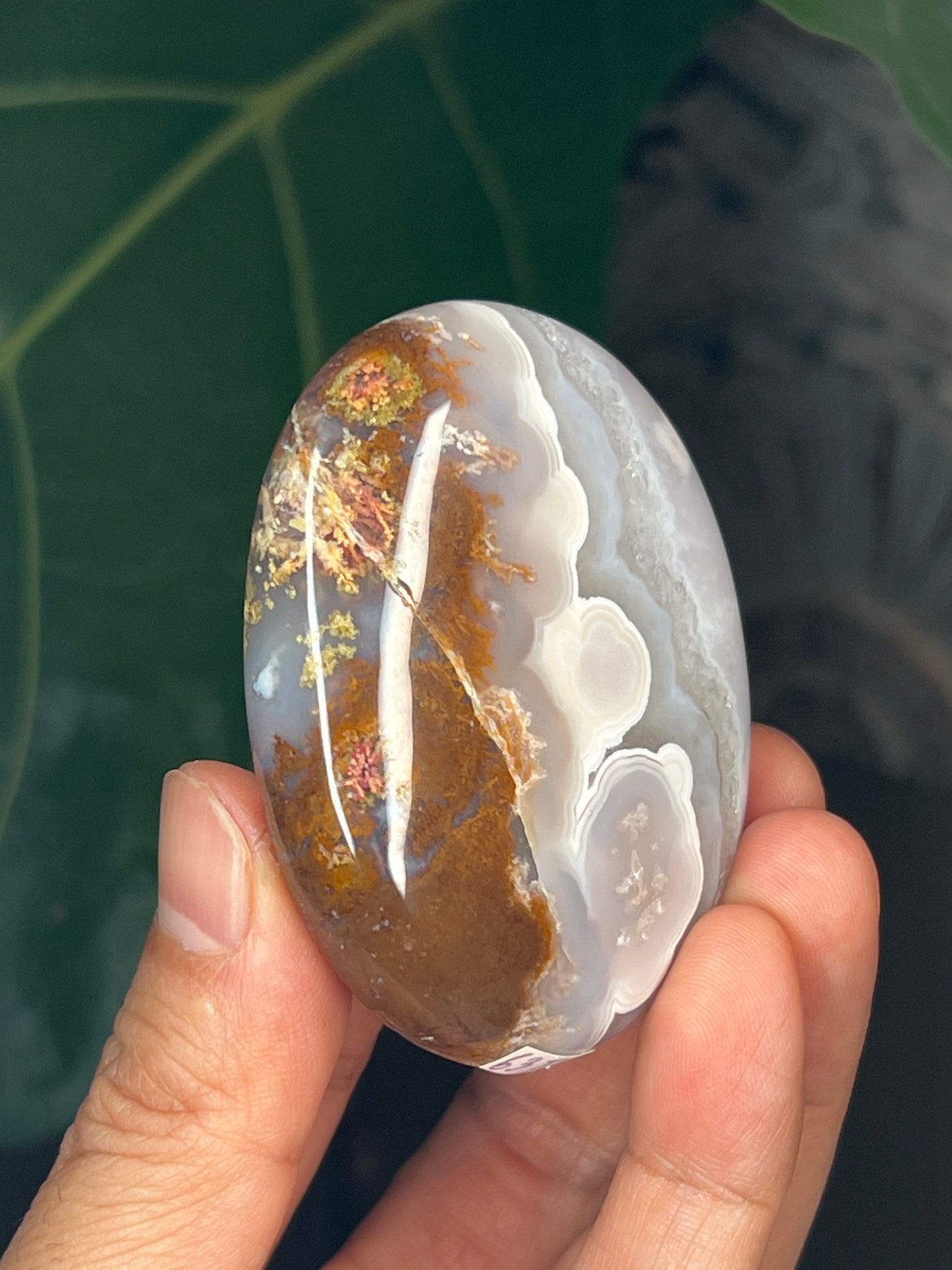 Scenic Moss Agate Palmstone