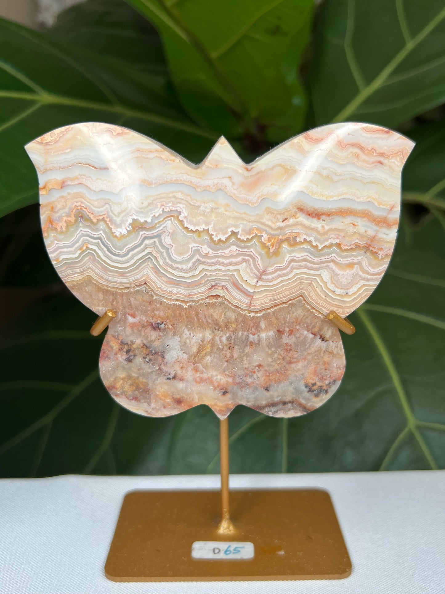 Crazy Lace Agate Butterfly