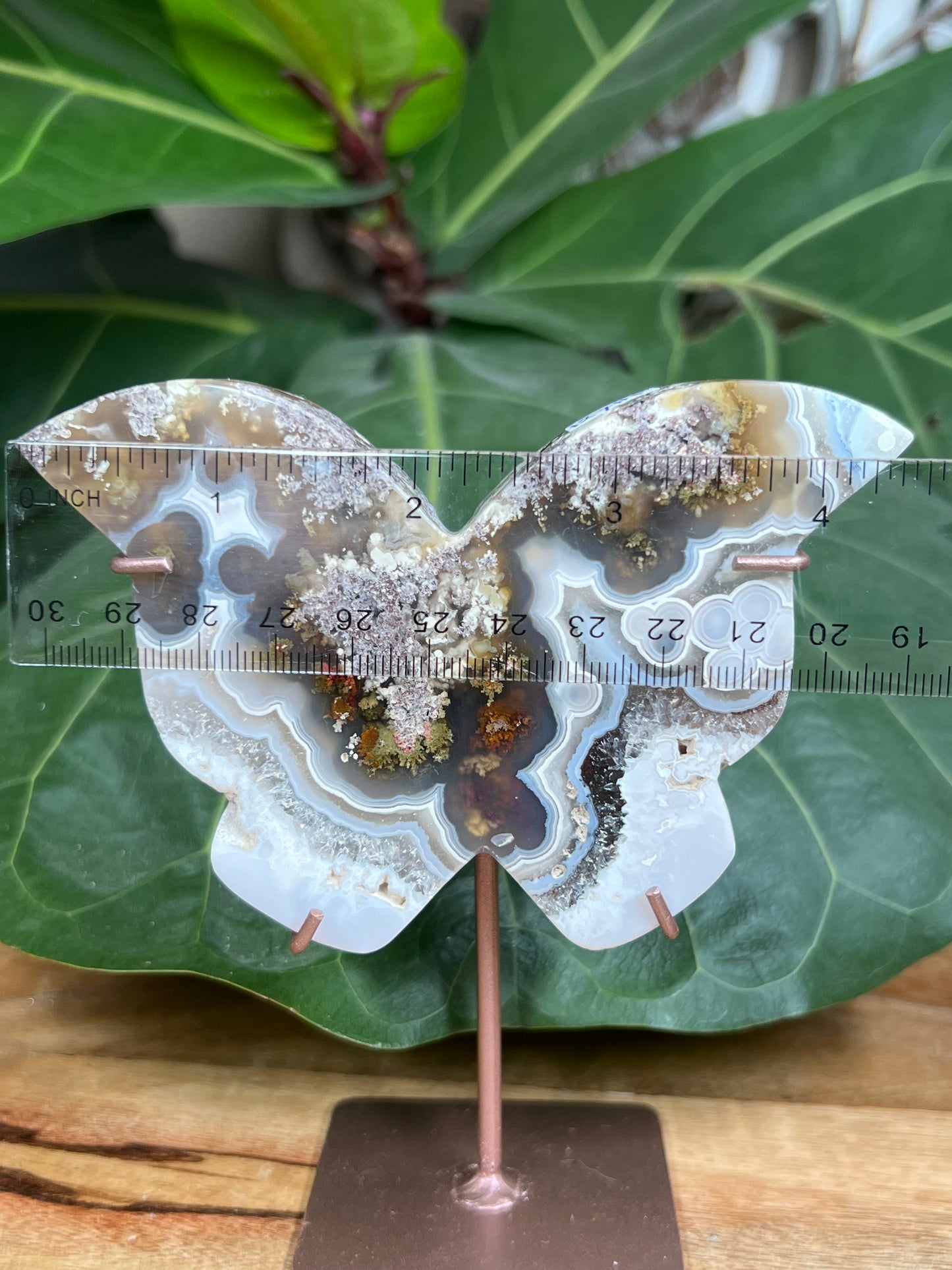 Scenic Moss Agate Butterfly