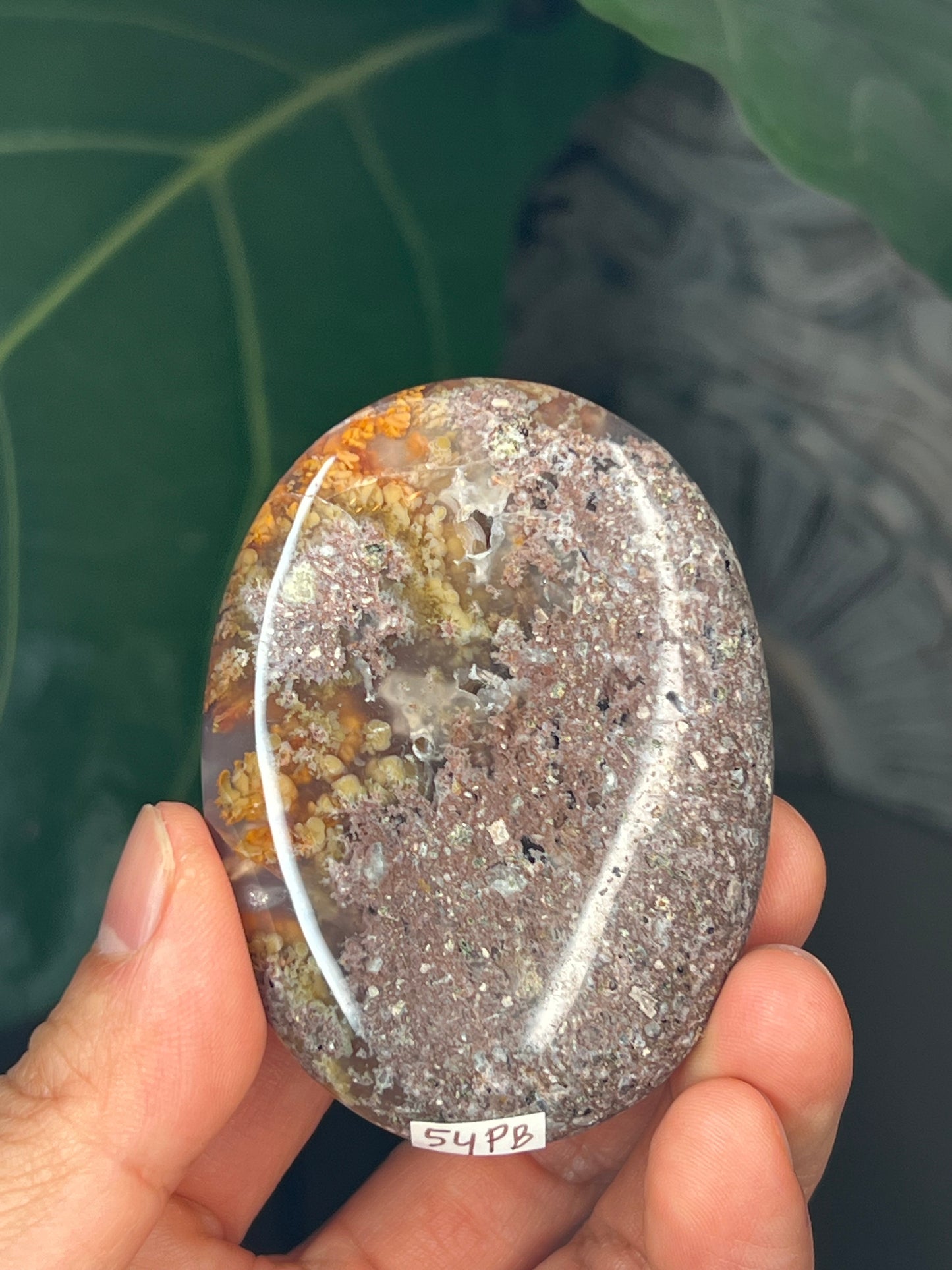 Scenic Moss Agate Palmstone