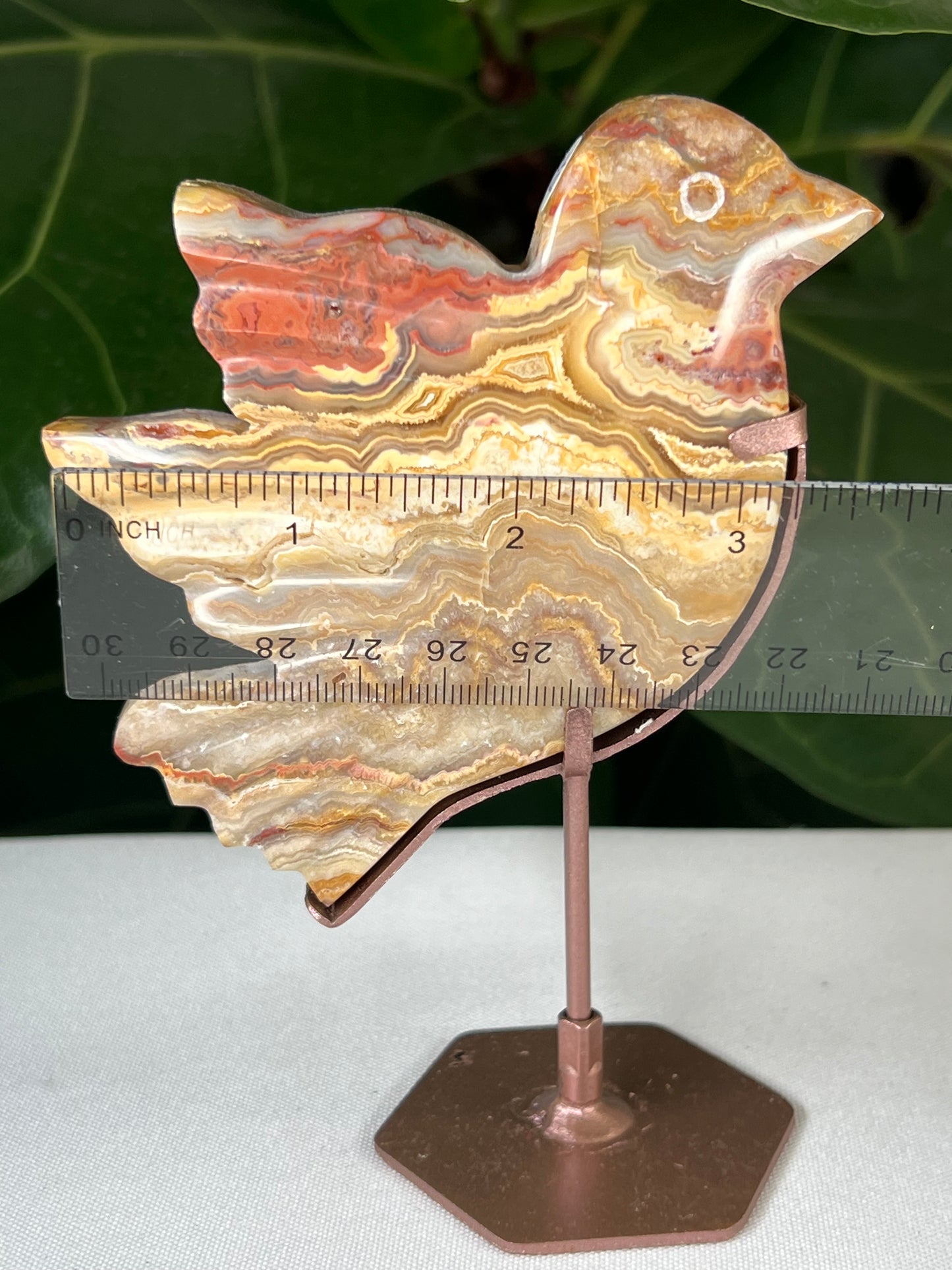 Crazy Lace Agate Bird