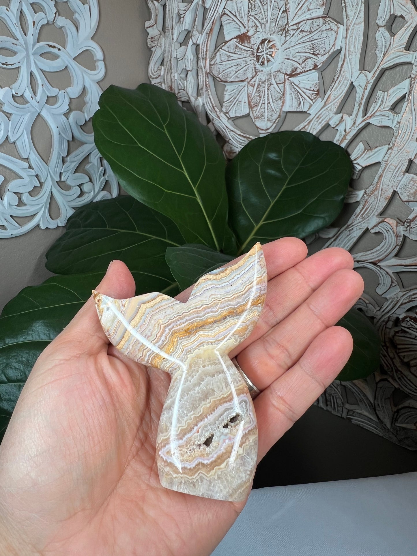 Crazy Lace Agate Mermaid tail