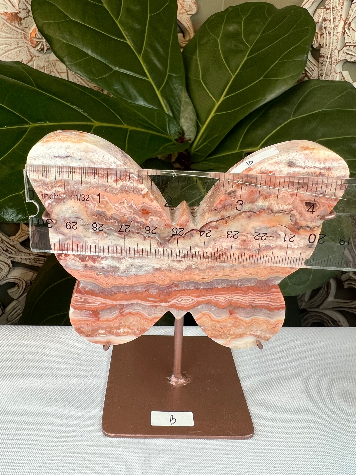 Crazy Lace Agate Butterfly