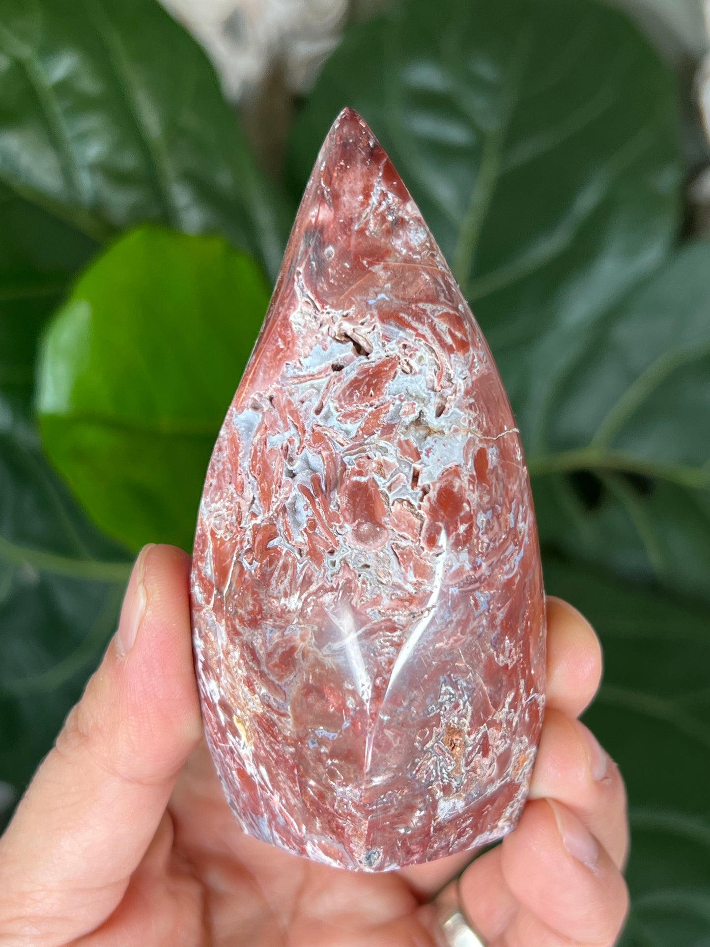 Red Scenic Jasper